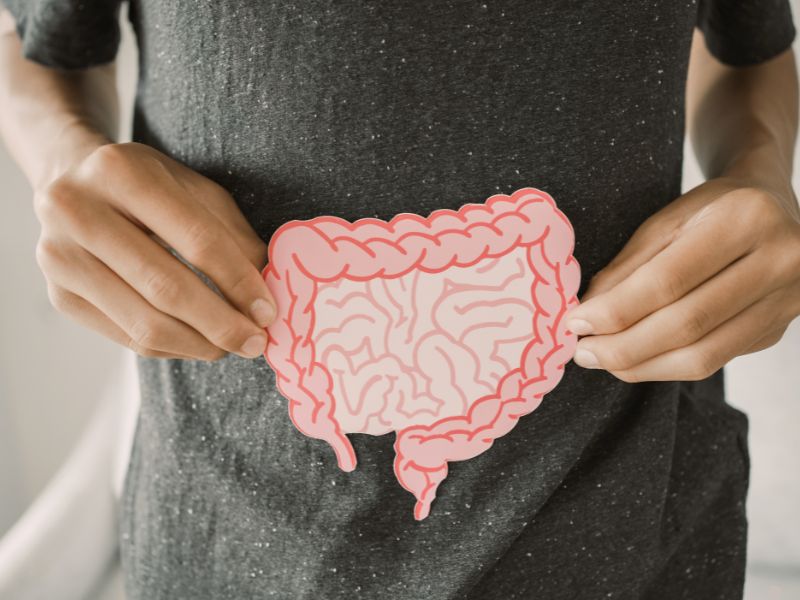 A conexão entre saúde intestinal e o cérebro ativo